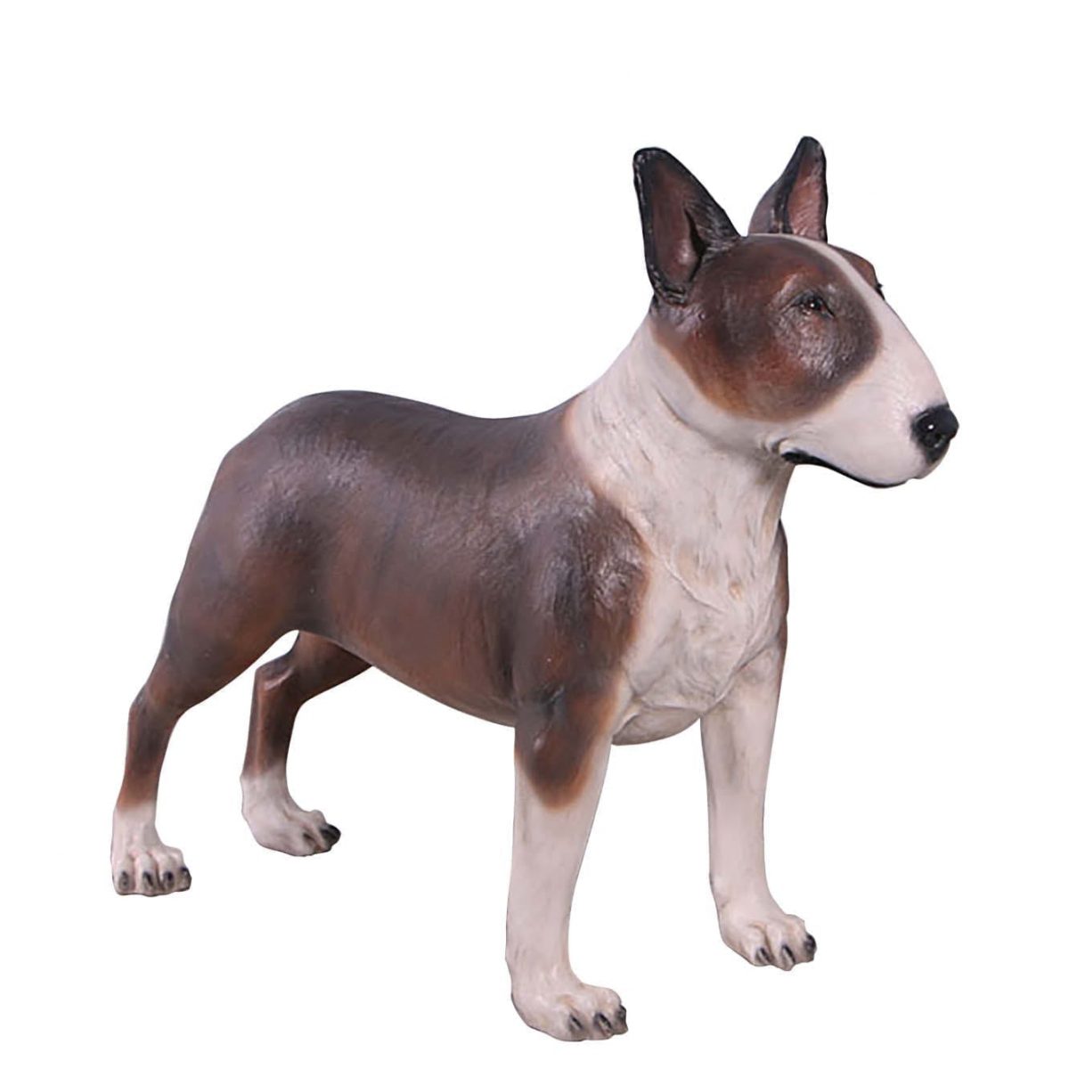 Natureworks Australia Mammals Domestic Pets Dogs Bull Terrior Dark Brown Product Image V px px