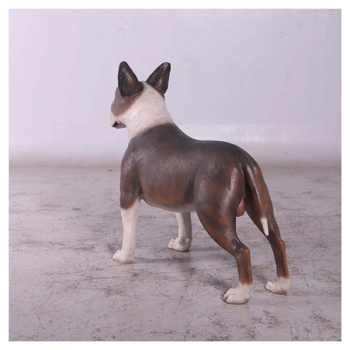 Natureworks Australia Mammals Domestic Pets Dogs Bull Terrior Dark Brown Rear Angle View Product Image V px px