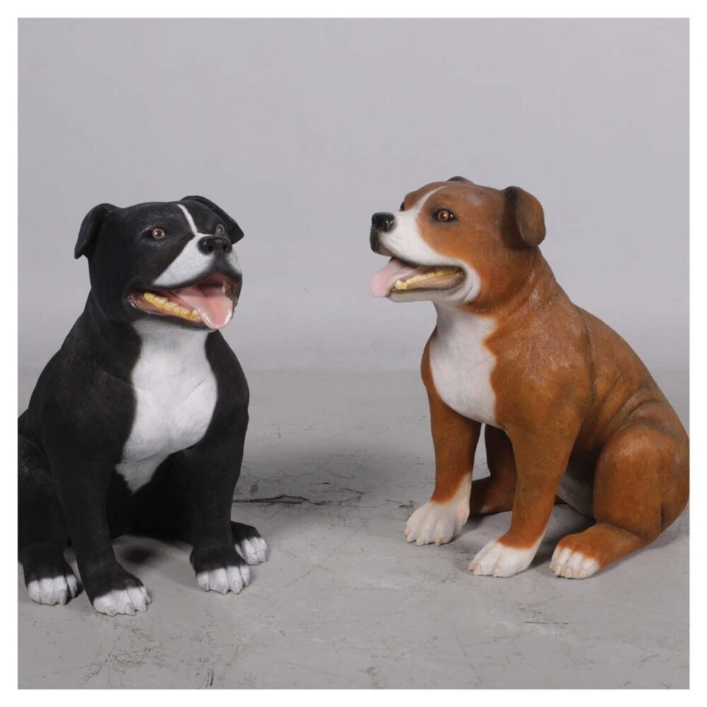 Mammals Domestic Pets English Staff Bull Terrior BlackBrown Product Image V px px