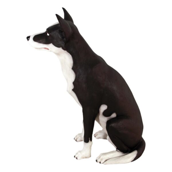 Mammals Domestic Pets Kelpie Dog sitting Side view Product Image V px px