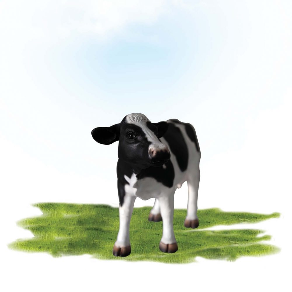 Mammals Farm animals Cattle Cows Cow Freisian mini desktop Product Image V px px