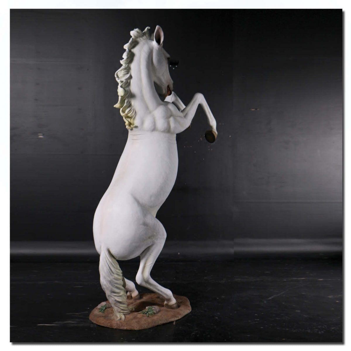 Natureworks Australia Mammals Farm animals Horses Rearing Horse Stallion Rear View White Product Image V px px