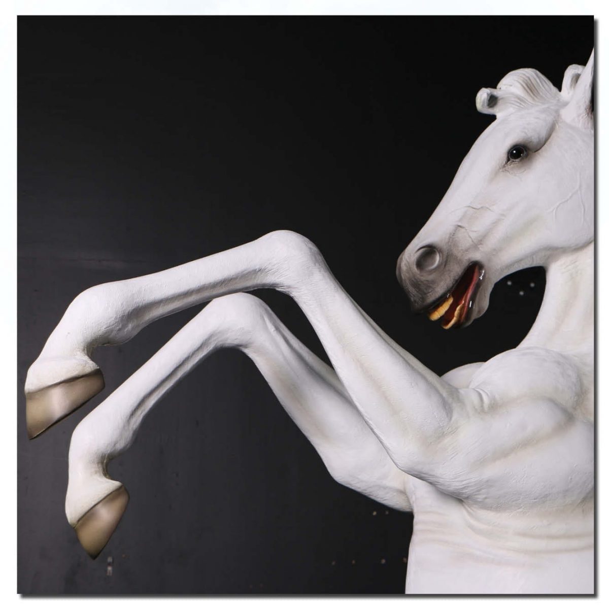 Natureworks Australia Mammals Farm animals Horses Rearing Horse Stallion Side View White Product Image V px px