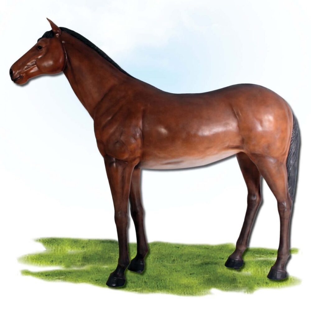 Mammals Farm animals Horses Standing ft Product Image V px px