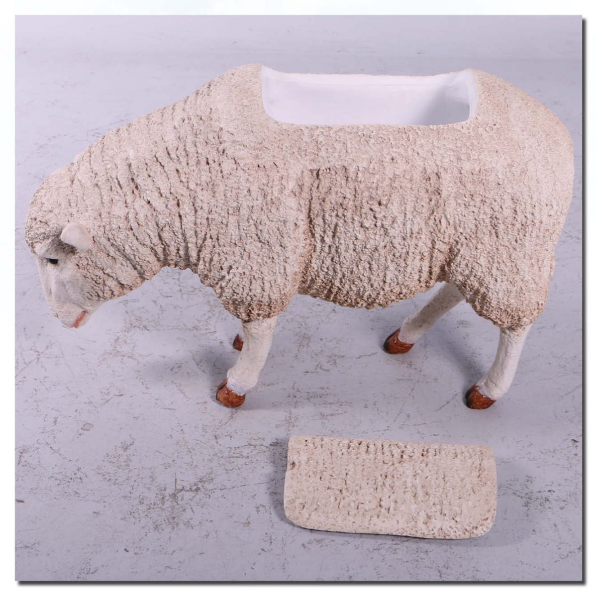 Natureworks Australia Mammals Farm animals Sheep Merino Esky Product Image V px px