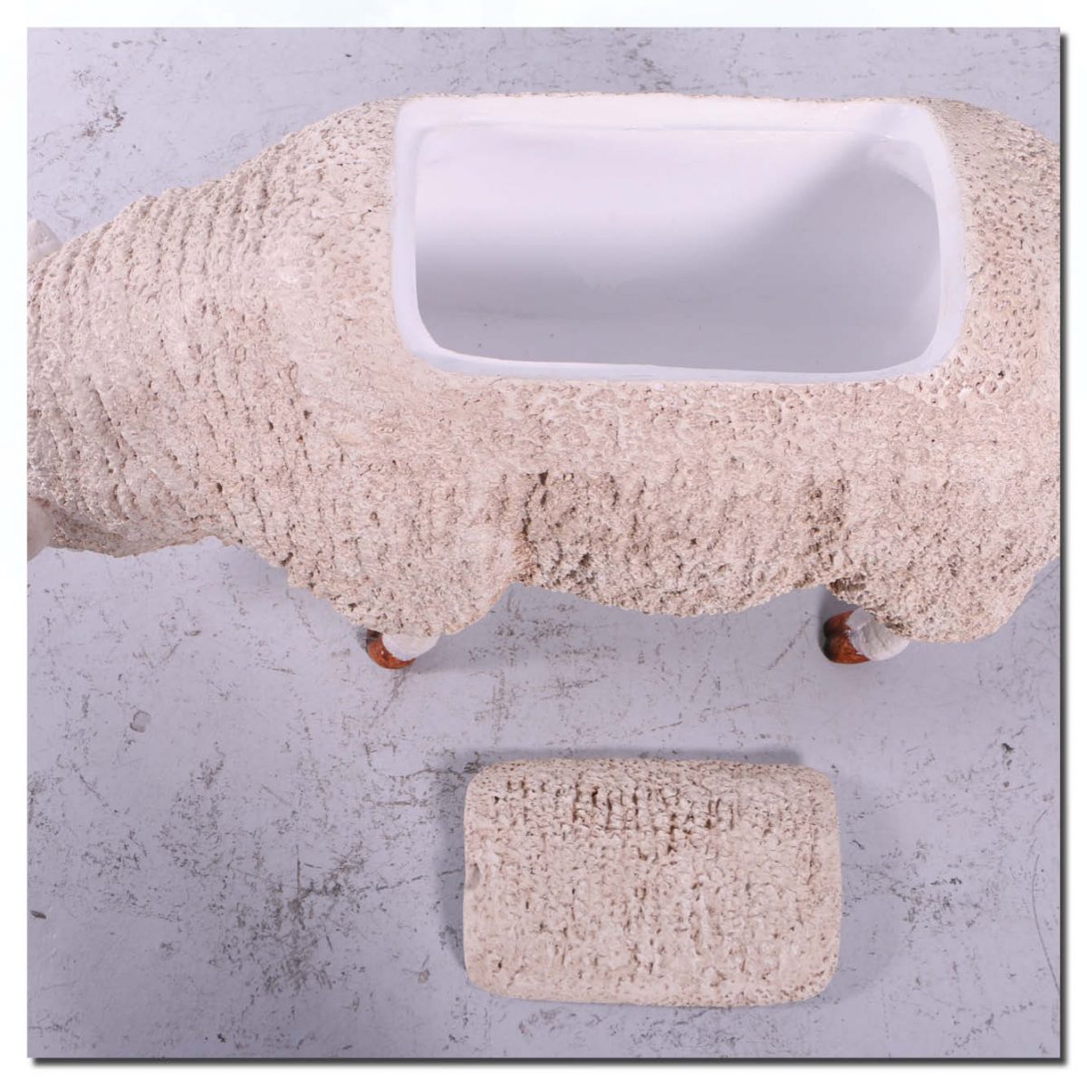 Natureworks Australia Mammals Farm animals Sheep Merino Esky Product Image V px px