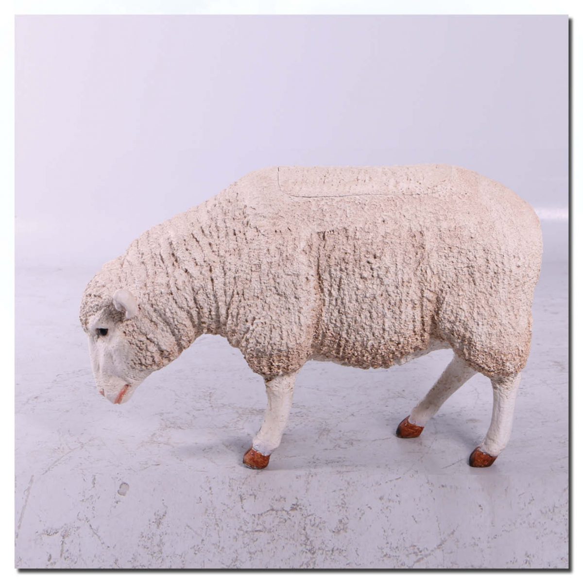 Natureworks Australia Mammals Farm animals Sheep Merino Esky Product Image V px px
