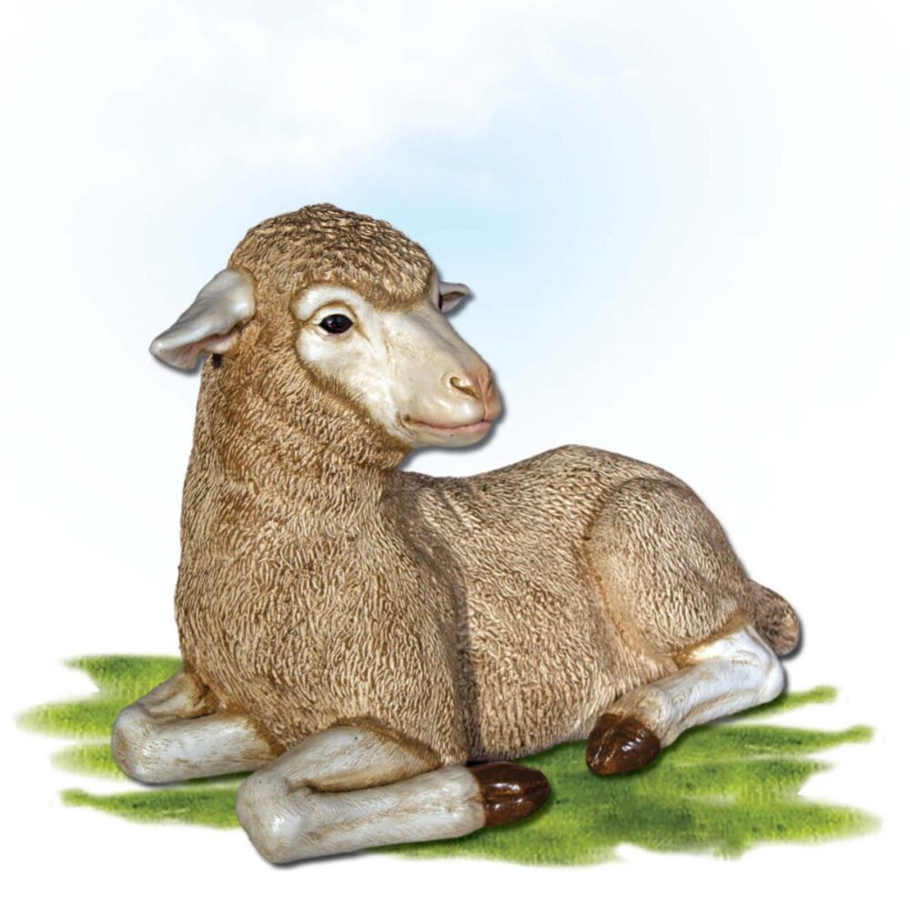 Mammals Farm animals Sheep Merino Lamb Lying Product Image V px px