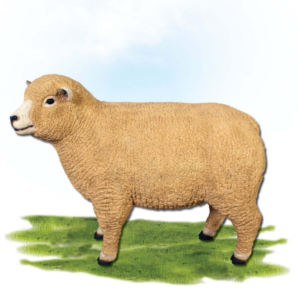 Mammals Farm animals Sheep Ryeland Ewe Standing Product Image V px px