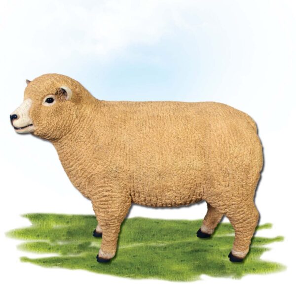 Mammals Farm animals Sheep Ryeland Ewe Standing Product Image V px px