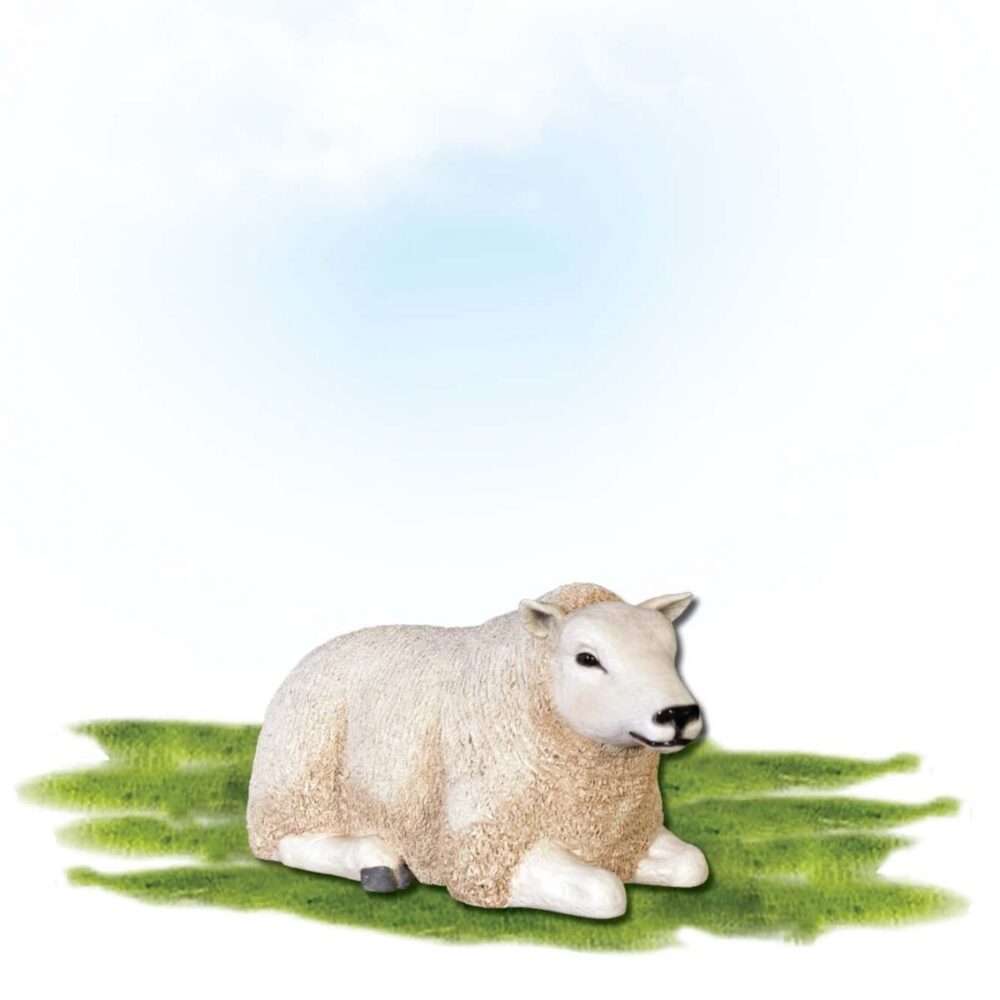 Mammals Farm animals Sheep Texlaar Ewe Lying White Small Product Image V px px