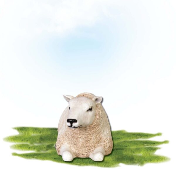 Mammals Farm animals Sheep Texlaar Ewe Lying White Small Product Image V px px