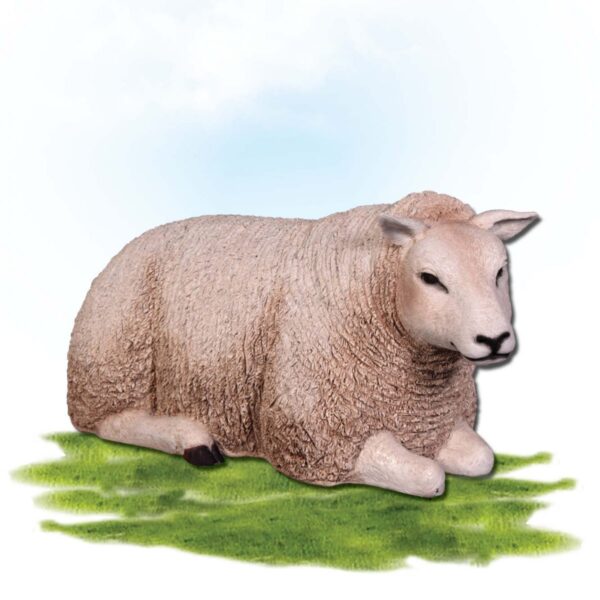 Mammals Farm animals Sheep Texlaar Ewe lying White Product Image V px px