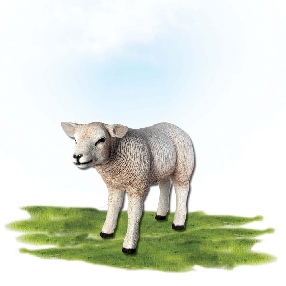 Mammals Farm animals Sheep Texlaar Lamb Resting White Product Image V px px