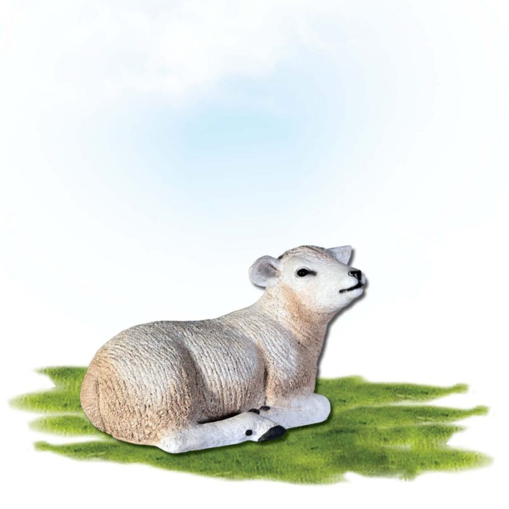 Mammals Farm animals Sheep Texlaar Lamb Resting White Product Image V px px
