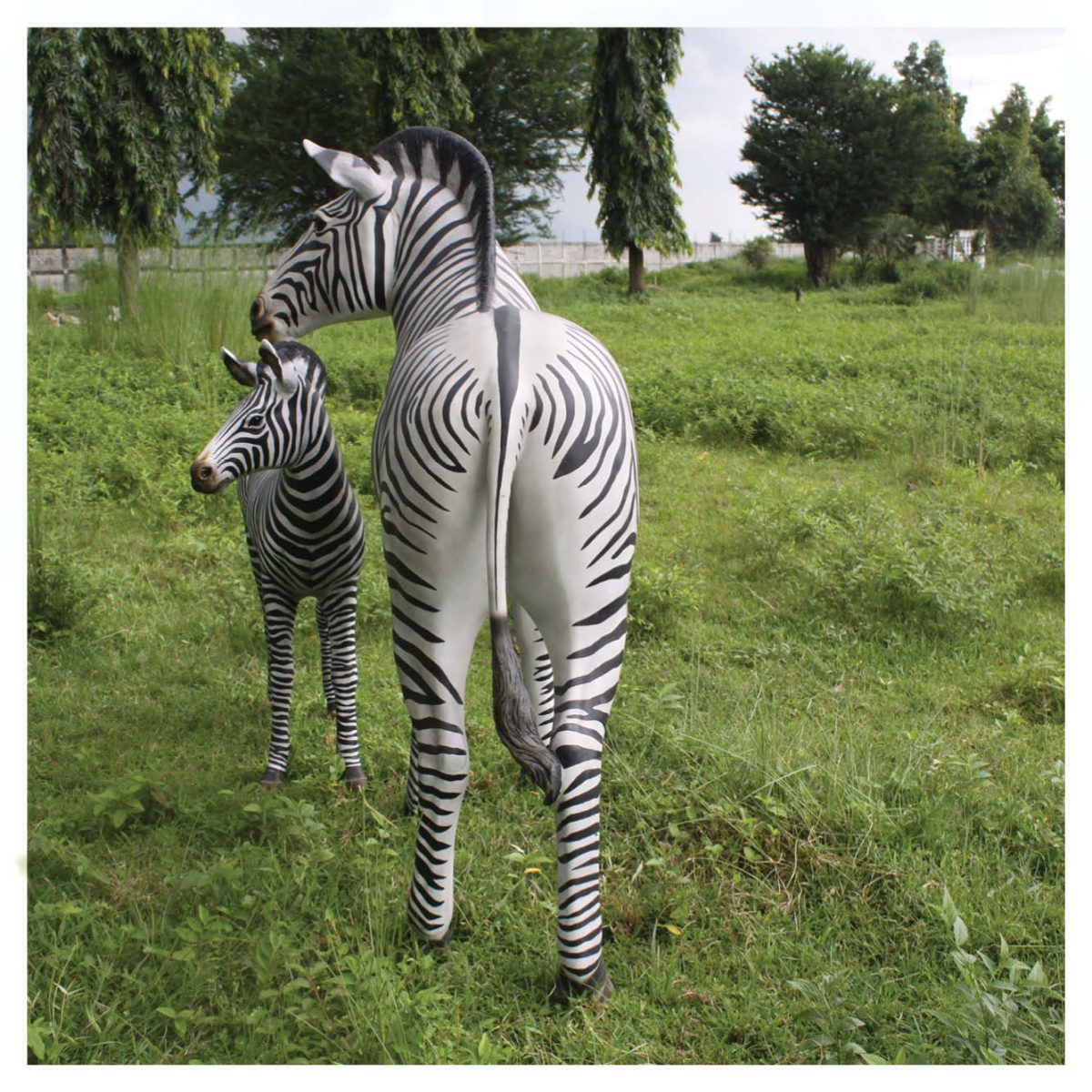 Natureworks Australia Mammals Safari animals Zebras Zebra foal standing Product Gallery V px px