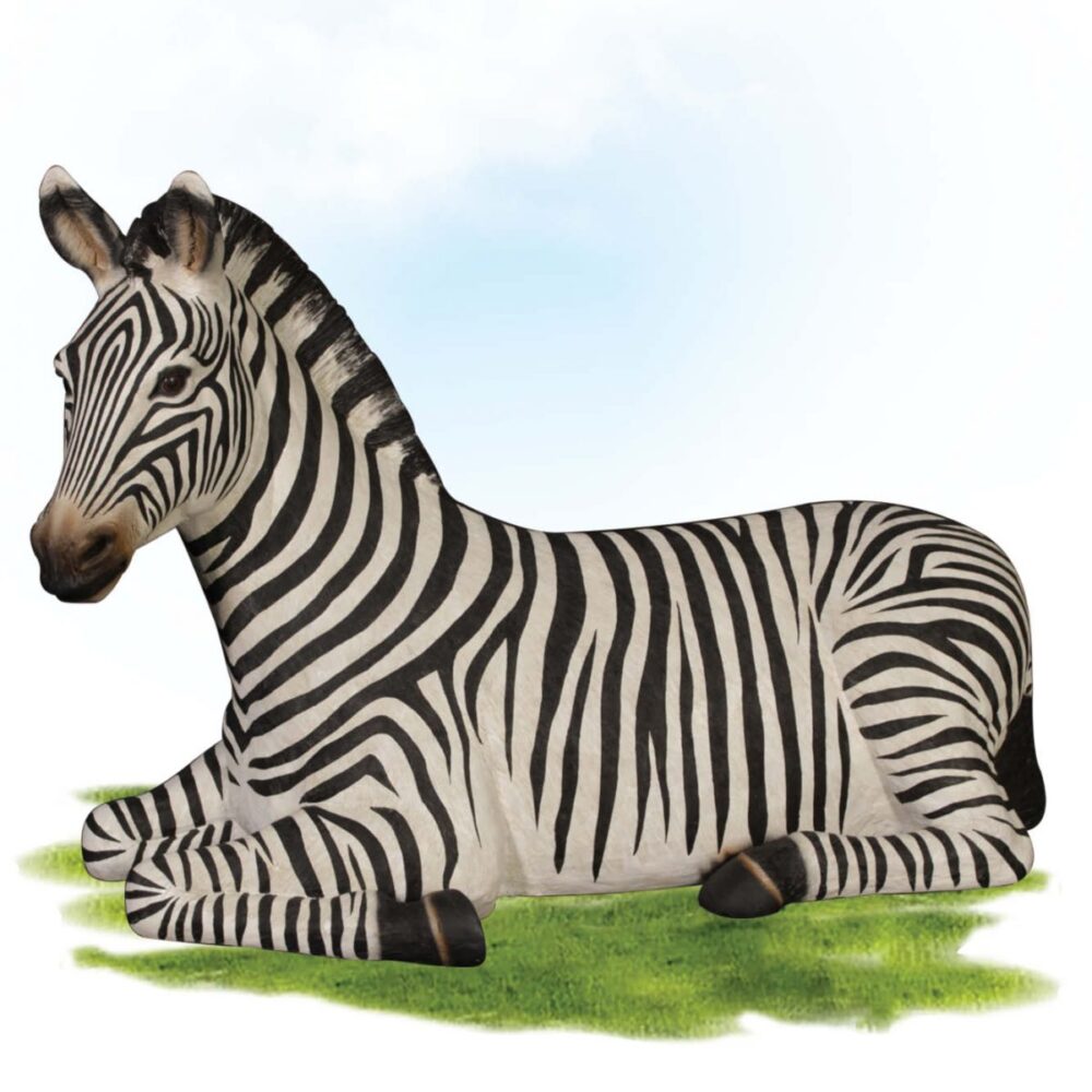 Mammals Safari animals Zebras zebra resting Product Gallery V px px