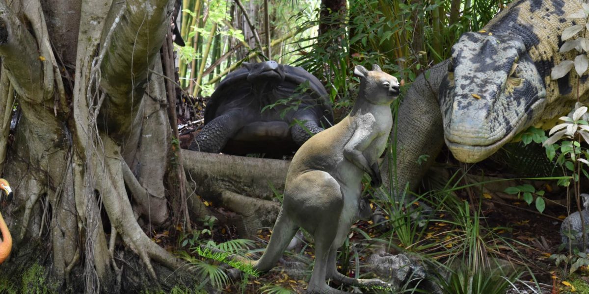 Natureworks Australia Procoptodon pusio sculpture displayed in Megafauna Exhibit