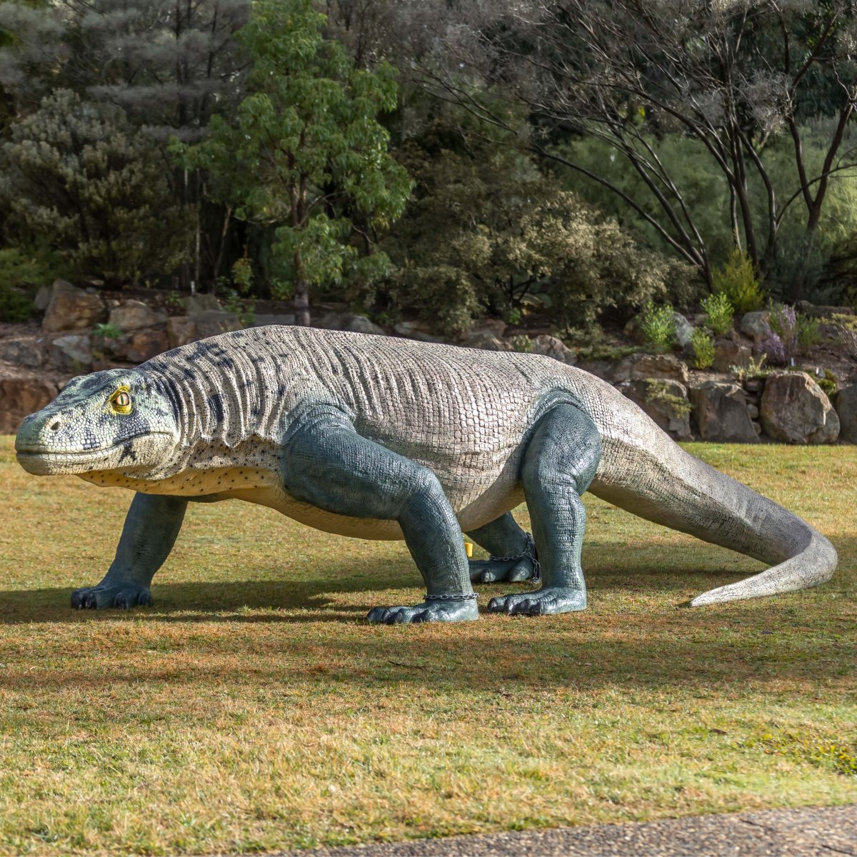 Natureworks Australia Megalania – giant lizard prehistoric megafauna