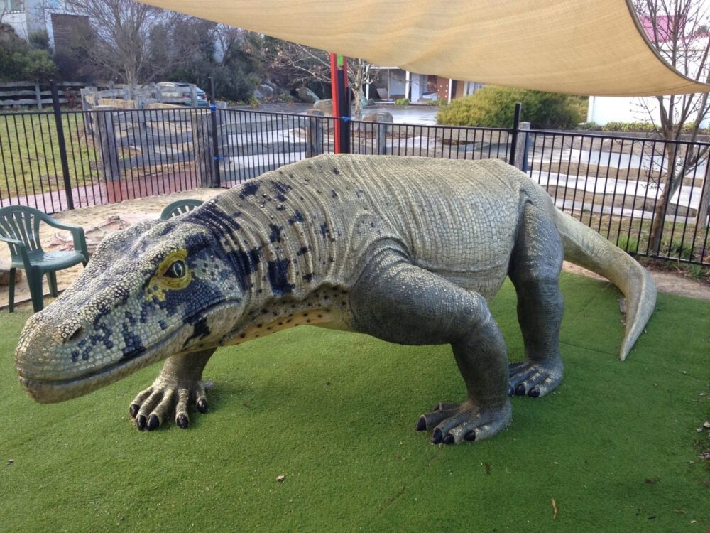 Megalania - under shade cloth- in Childcare centre