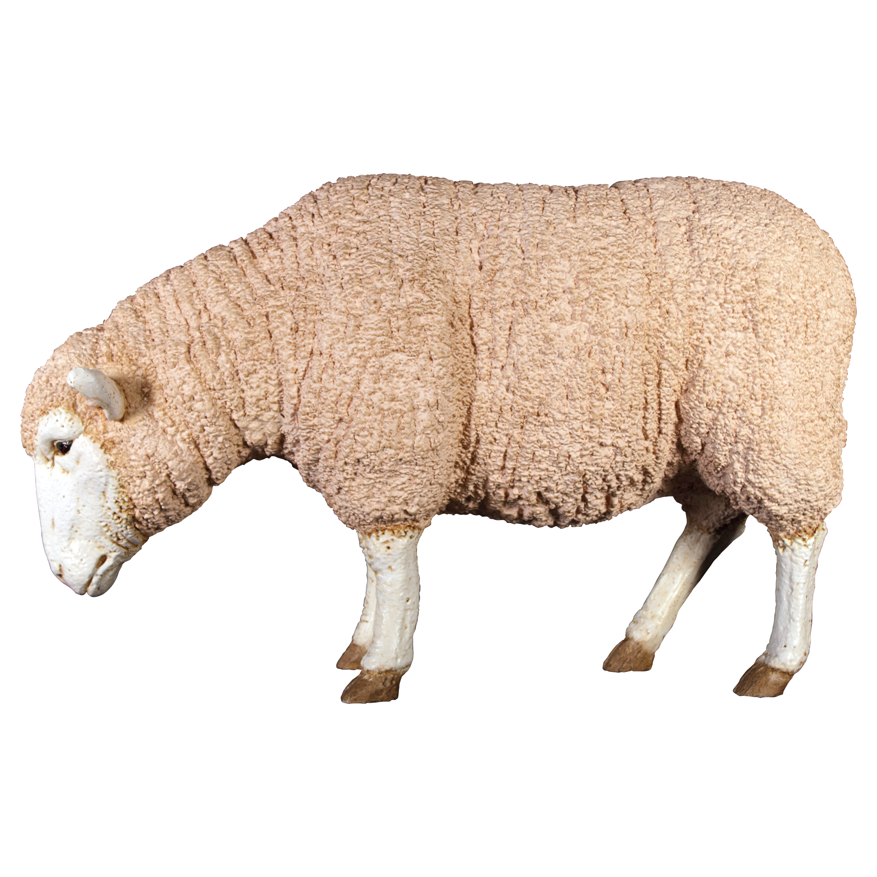 Natureworks Australia Merino Sheep statue - Ewe grazing with head down