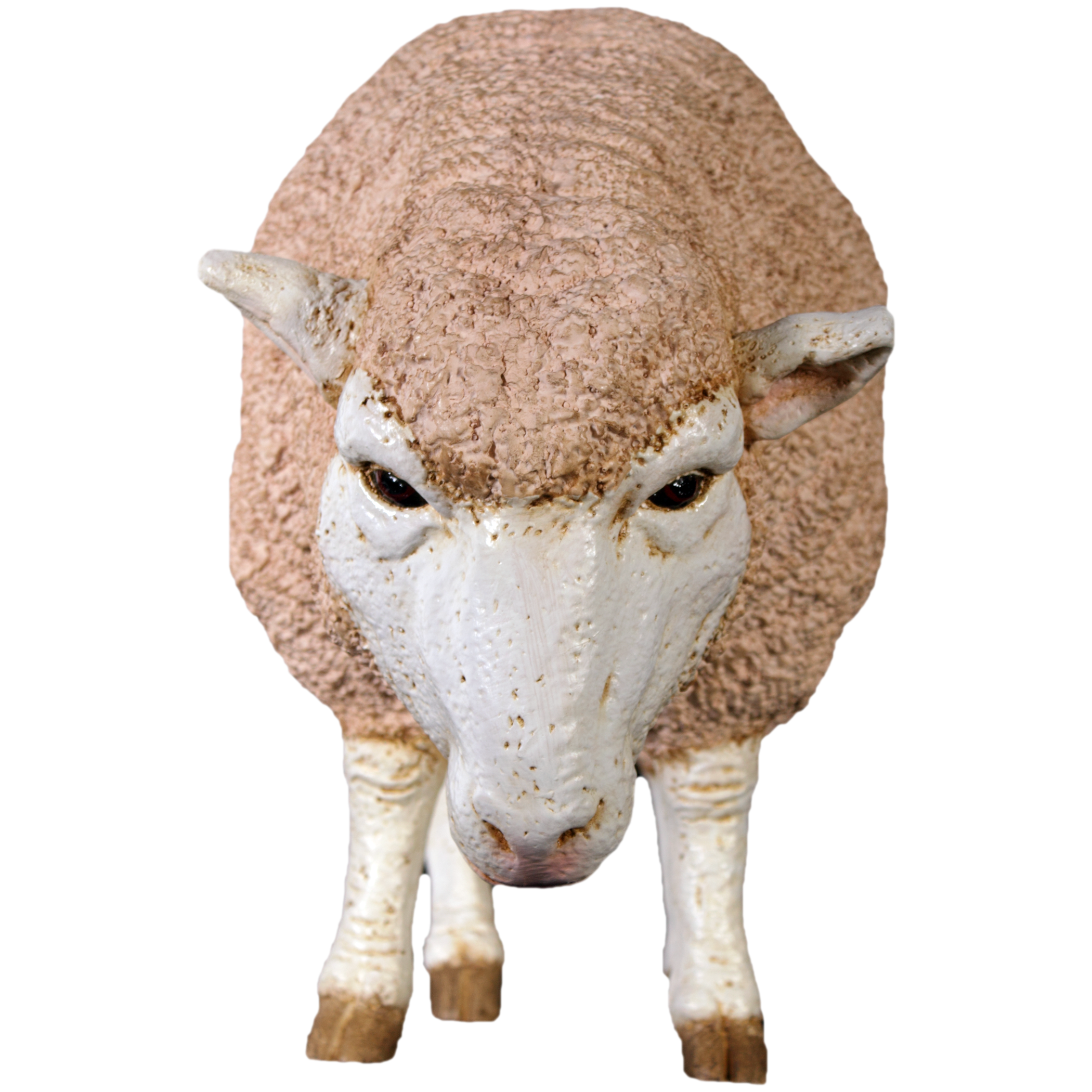 Natureworks Australia Merino Sheep statue - Ewe grazing with head down - front view