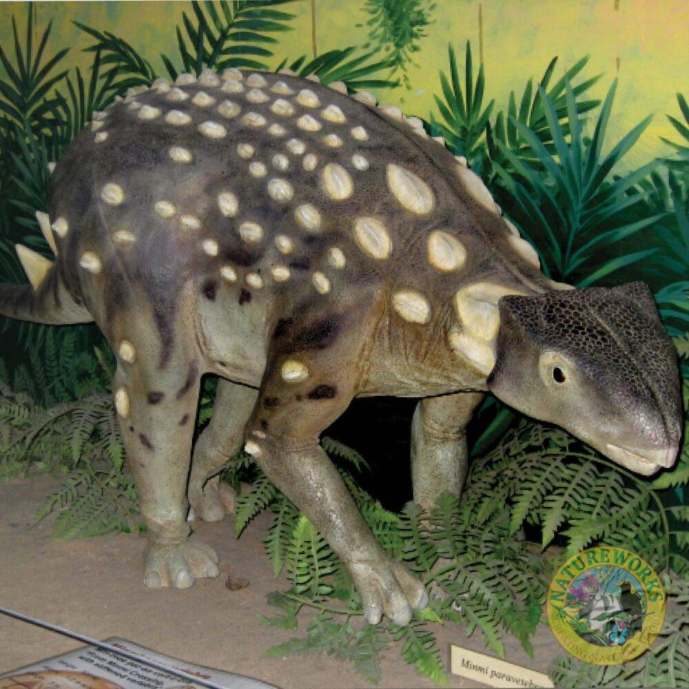 Minmi Dinosaur sculpture - full 3 dimensional and realistic shown in exhibit