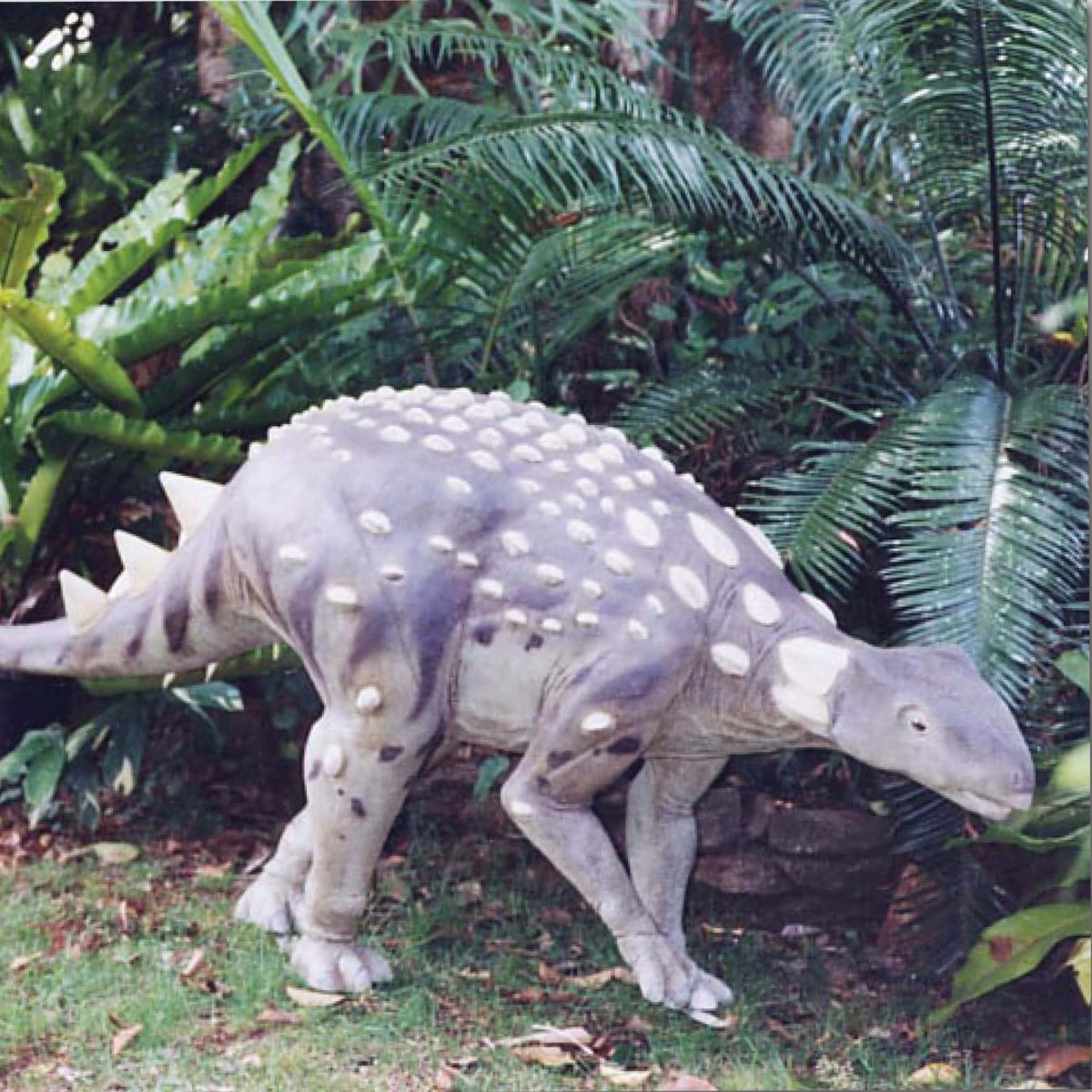 Natureworks Australia Minmi Dinosaur sculpture - full 3 dimensional and realistic- shown outside