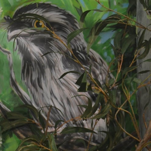 Mural Wall Art Category Image Bird V