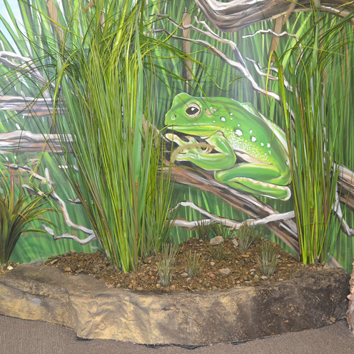 Mural Wall Art Category Image Frog englarged V