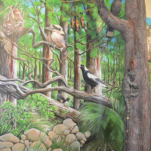 Mural Wall Art Category Image with Kookaburram magpie and goanna V
