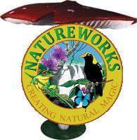 Artificial Mushrooms, Fungi & Flowers