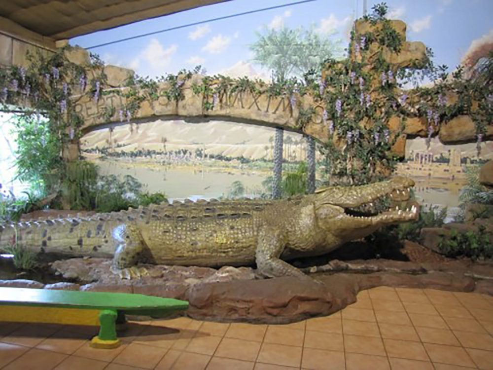 Natureworks ft crocodile exhibit