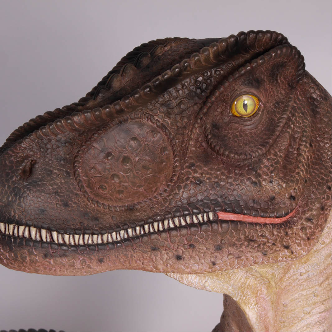 Natureworks Australia Allosaurus dinosaur statue- mouth closed - close up of head detail- SKU 090071
