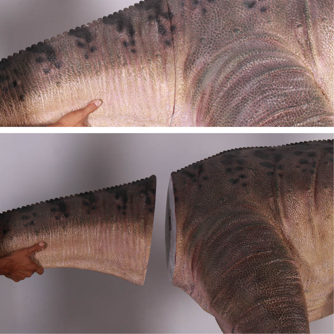 Natureworks Australia Allosaurus dinosaur statue- mouth closed - showing tail being connect-SKU 090071- this allows for easy delivery and installation