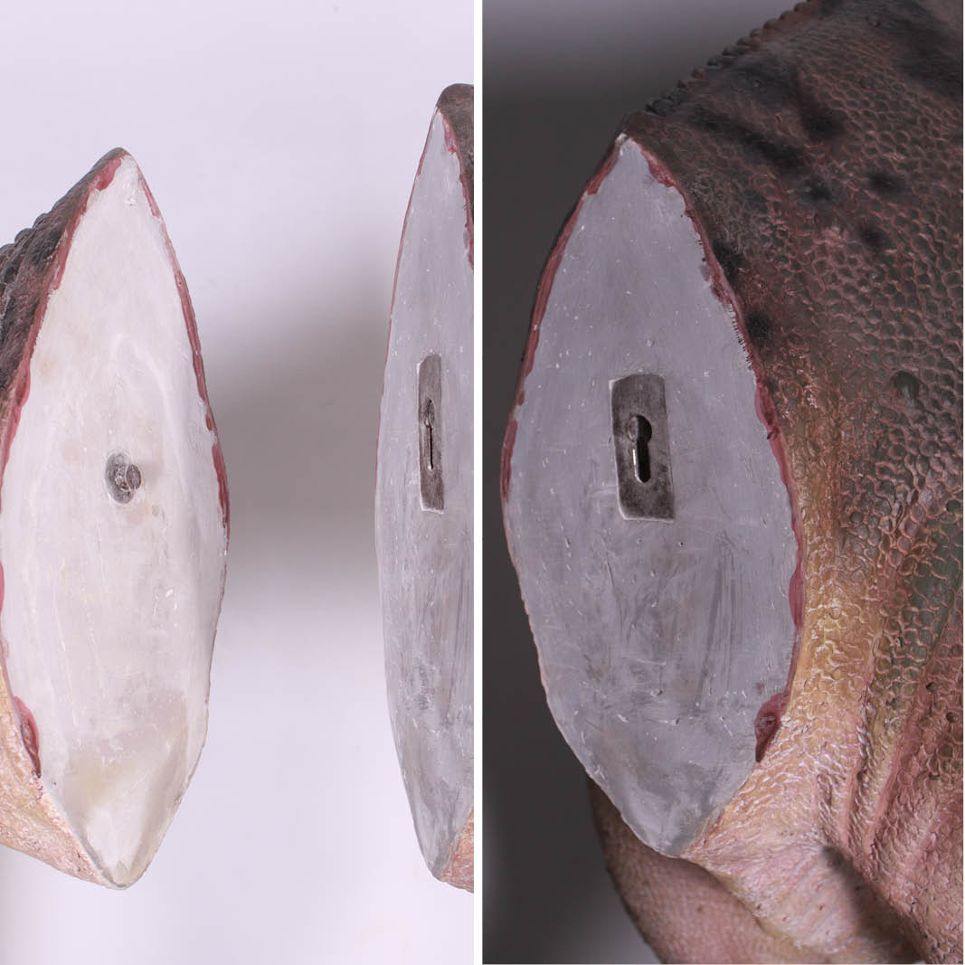 Natureworks Australia Allosaurus dinosaur statue- mouth closed - showing how connecting tail slots- SKU 090071