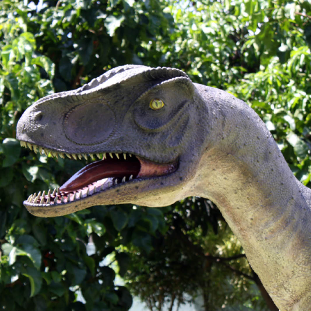 Natureworks Australia llosurus-Dinosaur-statue showing the mouth-open-version-100053-angle-view-of-head
