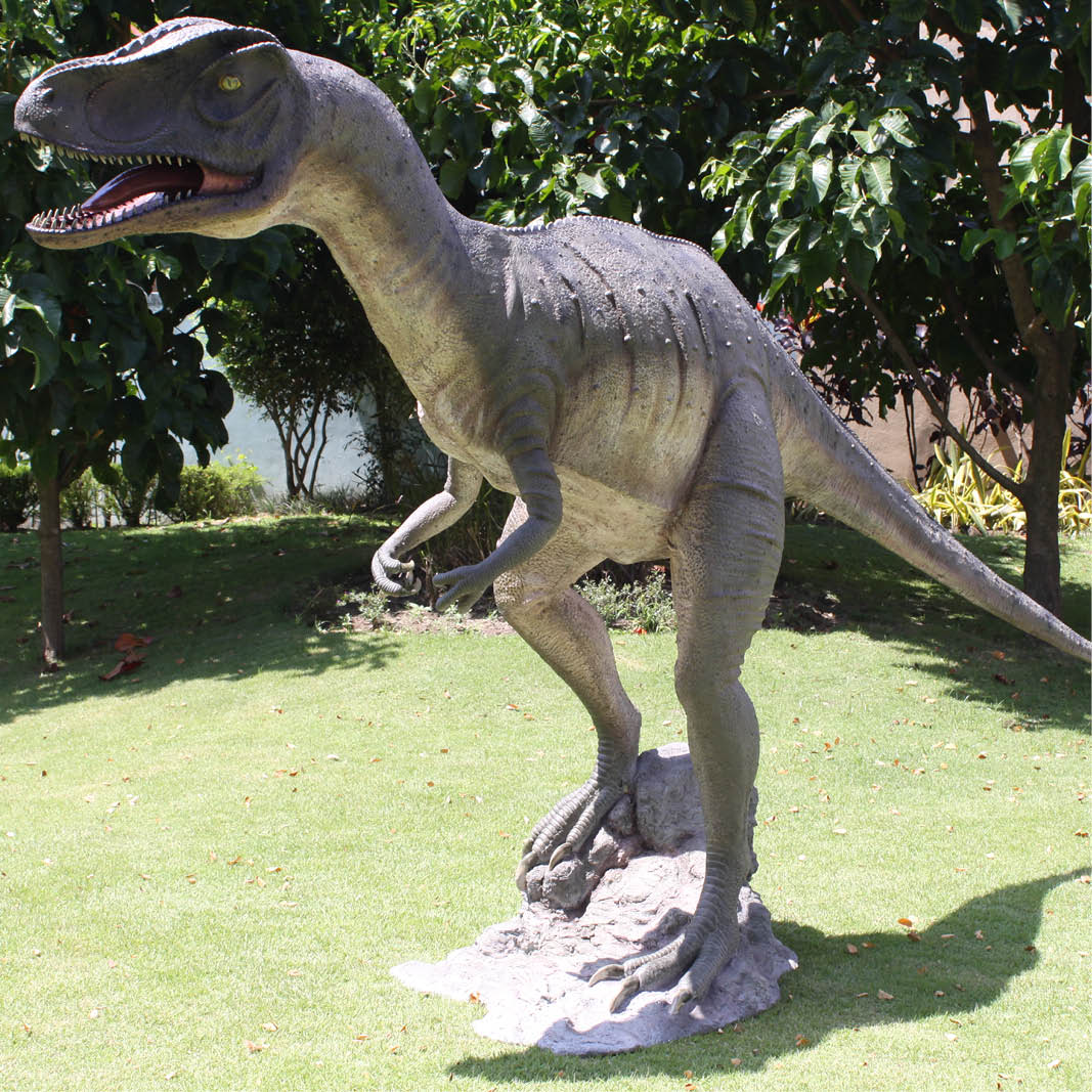 Natureworks Australia Allosurus-Dinosaur-staute with its mouth-open-version-100053-angle-view-outside-