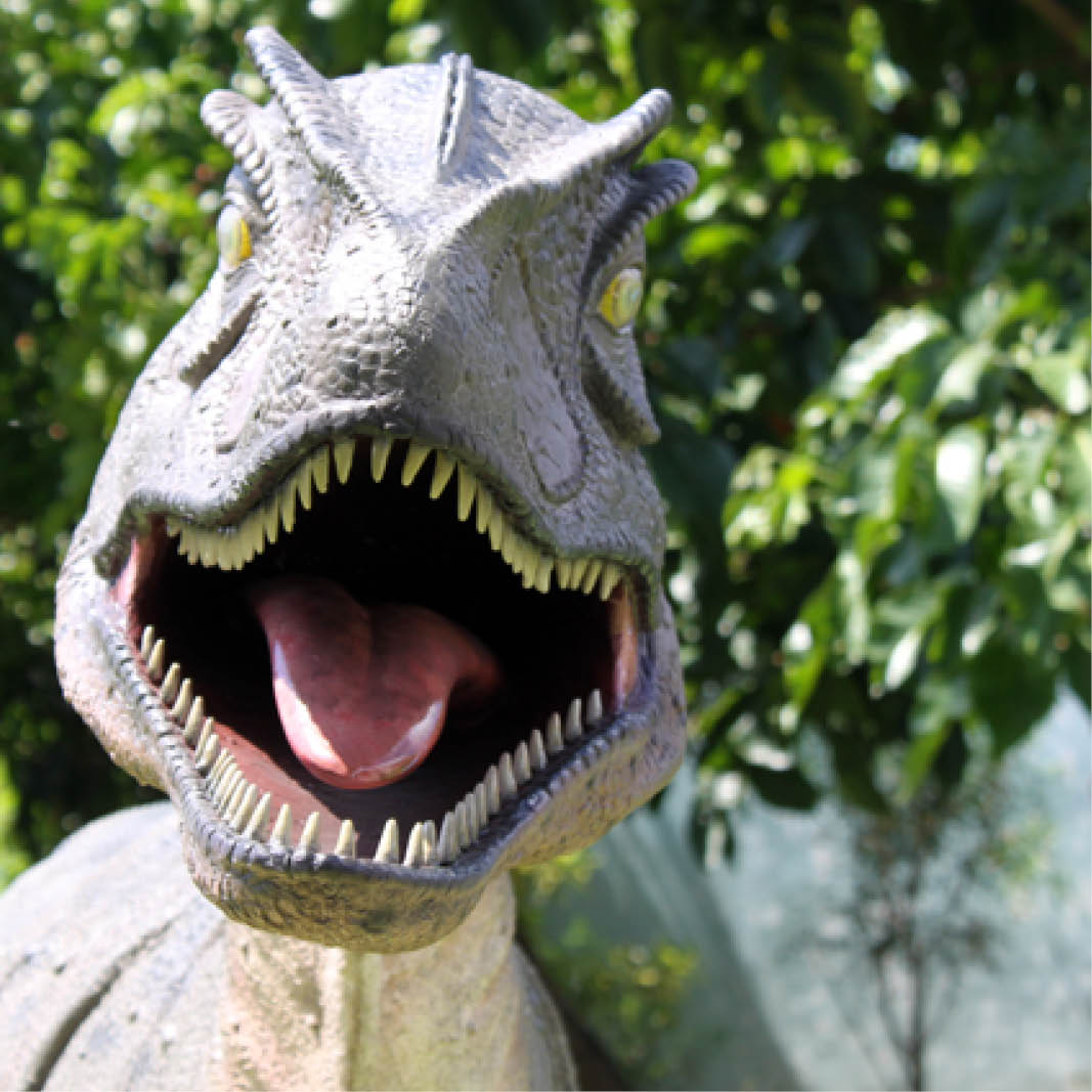 Natureworks Australia Allosurus-Dinosaur-statue -mouth-open-version-100053-showing a close up-front-view-of-head