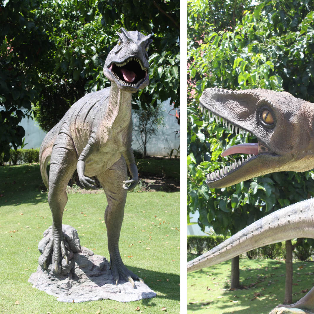 Natureworks Australia Allosaurus Statue Mouth Open - Image 7