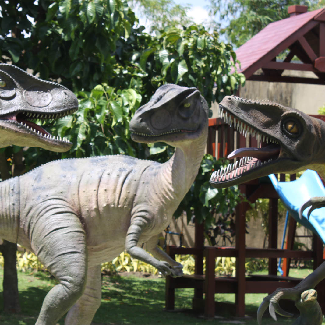 Natureworks Australia Allosurus-Dinosaur-statue showing mouth-open-version-100053-and mouth closed version together