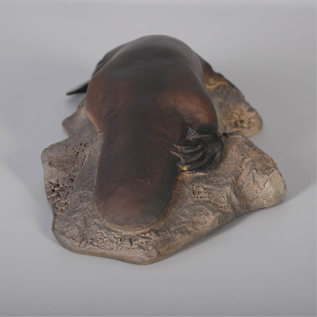 Natureworks Australia Natureworks Australian Mammals_Platypus on Rock-Small_100113-rear view