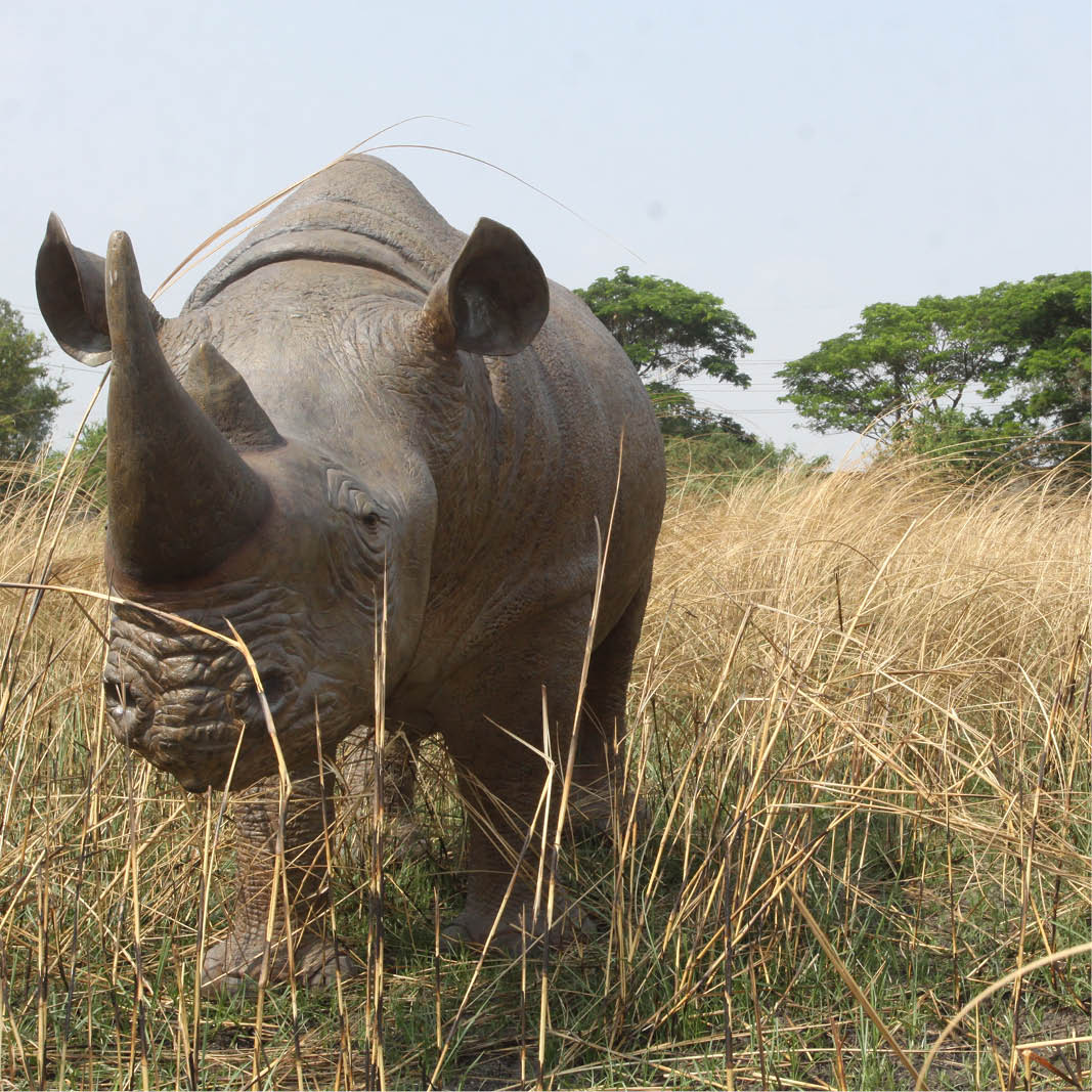 Natureworks Australia Natureworks Rhino statue - front view - shown outside140042