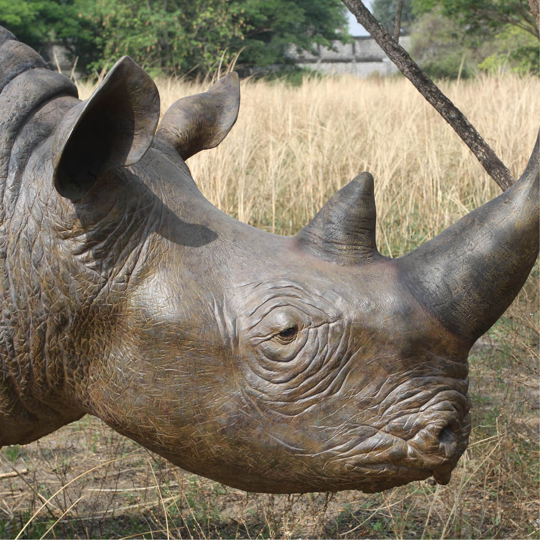 Natureworks Australia Natureworks Rhino statue - head view - shown outside140042