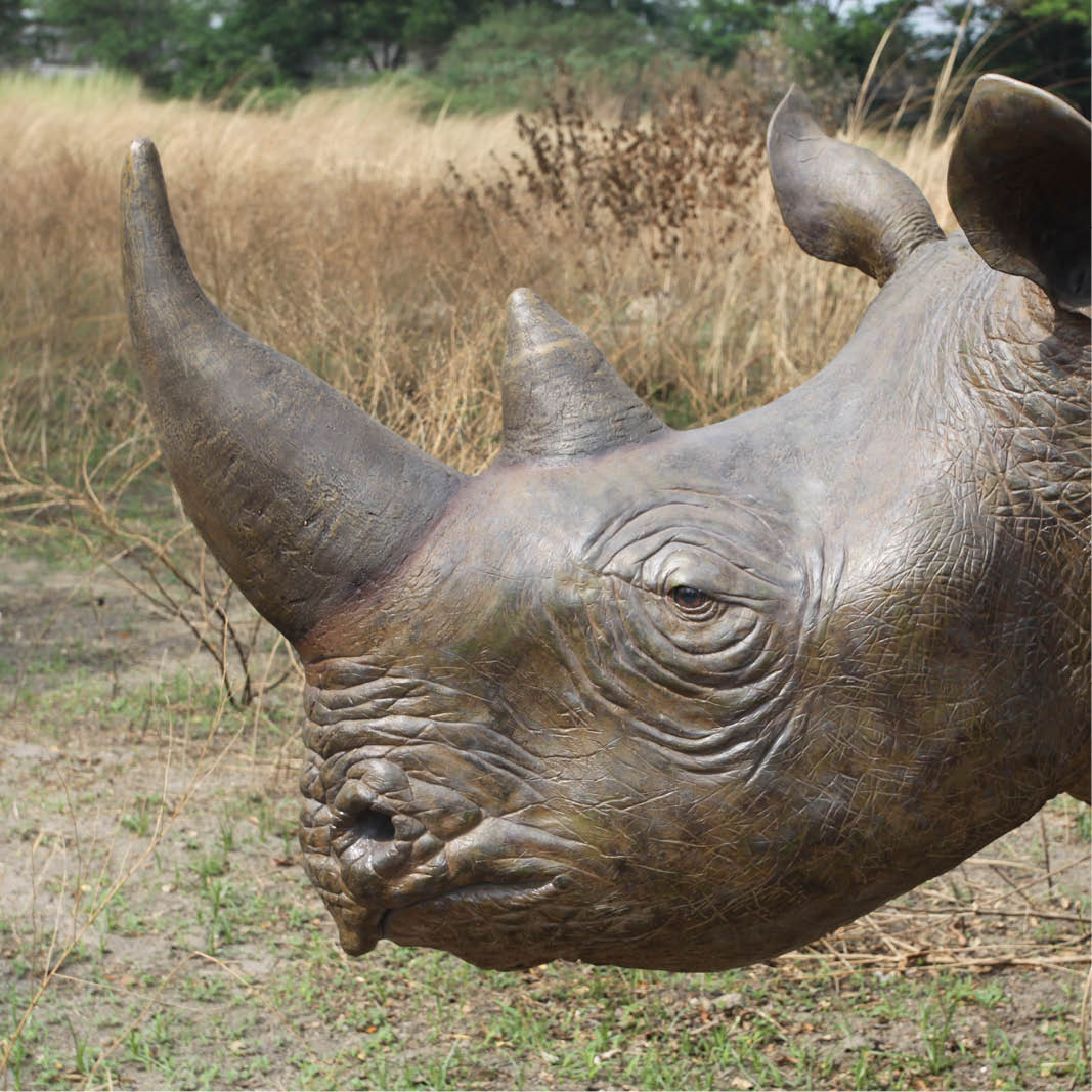 Natureworks Australia Natureworks Rhino statue - - close up of head view- 140042
