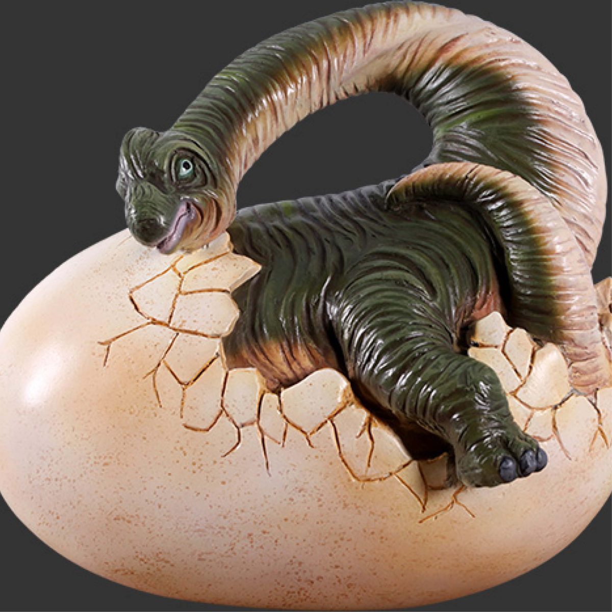 Natureworks Australia Brachiosaurus Baby Hatching - Dinosaur - 140036- side view