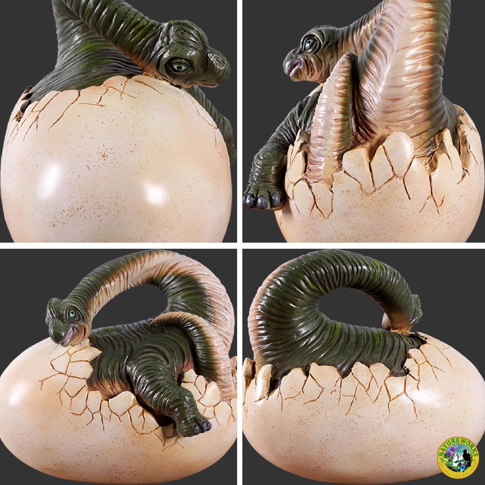 Natureworks Australia Natureworks Brachiosaurus Baby Hatching Dinosaur- various angle views-140036