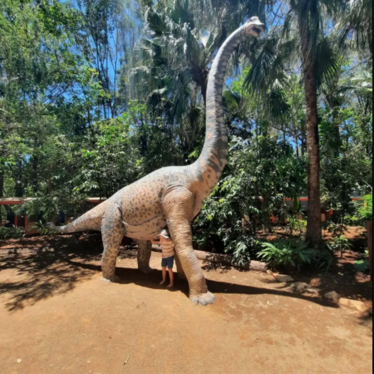 Natureworks Australia Brachiosaurus dinosaur with straight neck statue - 100055