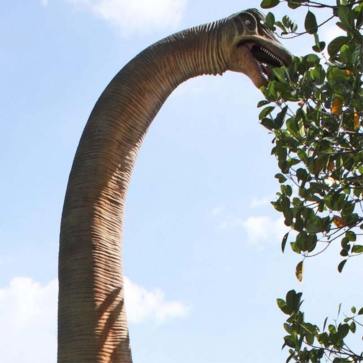 Natureworks Australia Brachiosaurus dinosaur with straight neck statue - 100055
