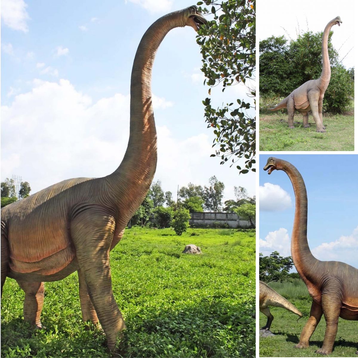 Natureworks Australia Brachiosaurus dinosaur with straight neck statue - 100055
